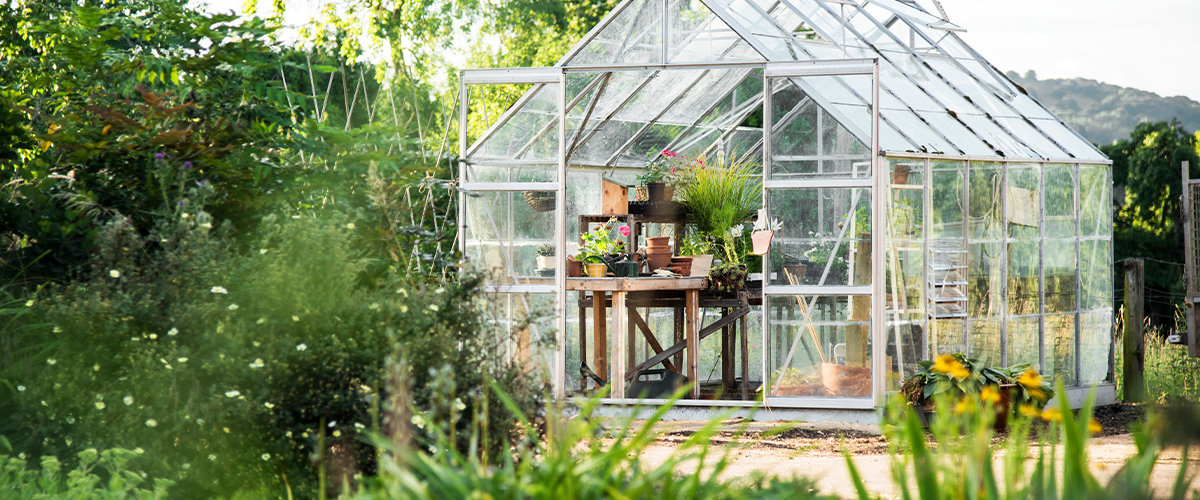 Tiny greenhouse.